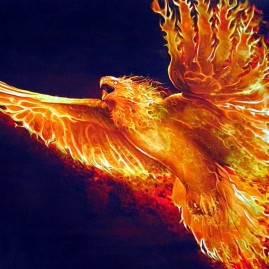 Project Phoenix
