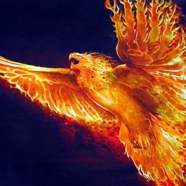 Project “Phoenix” #4