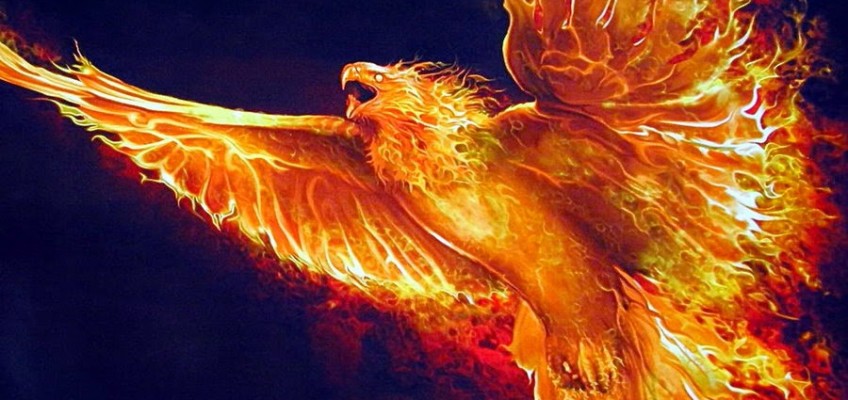 Project “Phoenix” #0